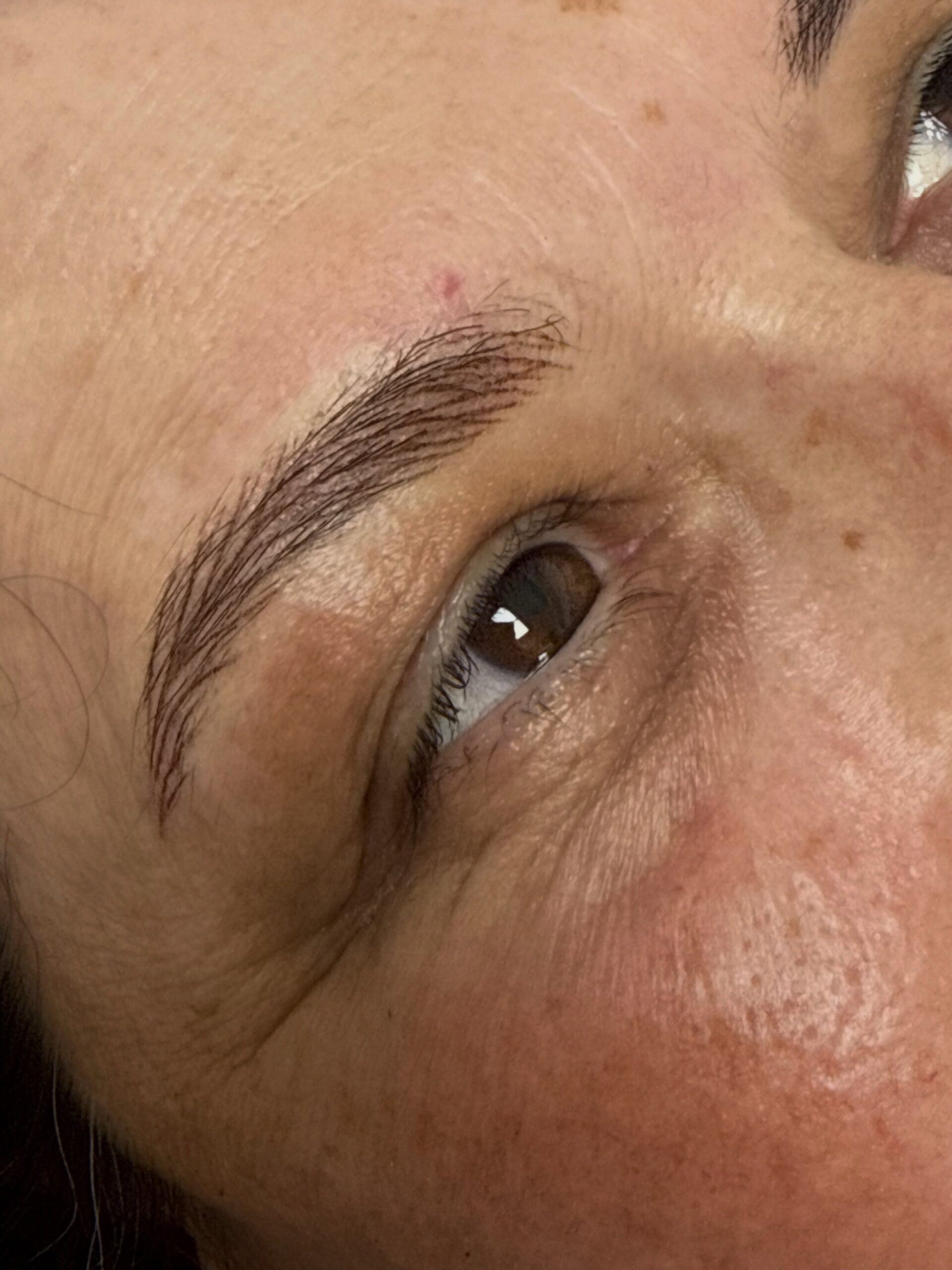 Cejas Pelo a Pelo Microblading